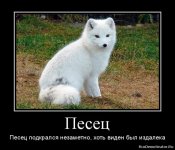 IMG_20210303_233722.jpg