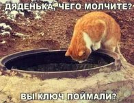 уу8а.jpg уу8а.jpg