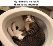 вввв77.jpg