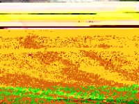 IMG_20160516_075639_24.jpg