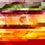 ramdisk-crop_158788827_EChV1.jpg