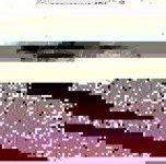 e11df26bb5c81242ffe4421ace5d5374.jpg