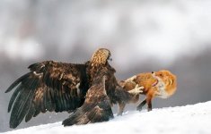 IMG_20220807_002819.jpg