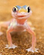 gdD4y56CisAYZxN2_Xmz-2BVtDQypuEDEinCpvDfXMIVIGoVW7HXShR8tmkT4HE9a1elS7vIRE7K4FL8i2ZagjC4.jpg