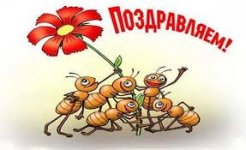 Без названия.jpeg
