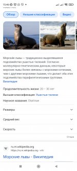 Screenshot_2022-10-08-15-46-34-338_com.android.chrome.jpg