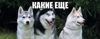 4I9RWLeJMCI.jpg