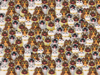 1676489325736.png