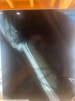 IMG_20230219_165225_016.jpg