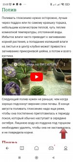 Screenshot_2023-04-27-23-05-55-238_com.mi.globalbrowser.jpg
