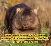 IMG_20230531_184138.jpg