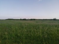 IMG_20230609_192023.jpg