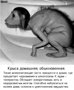 1690642052953.png