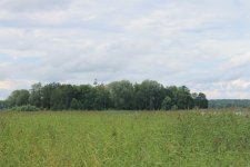 IMG_5290.jpg