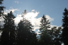 IMG_5376.jpg