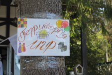 IMG_5478.jpg