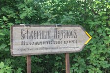 IMG_5553.jpg