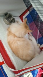 IMG-20230812-WA0034.jpg