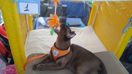 IMG-20230812-WA0013.jpg