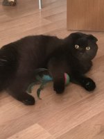 5DFEEDBB-BAA6-418C-8C64-B72DF90856E4.jpeg