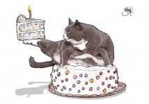 IMG_1705.jpeg