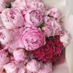 IMG_3477.jpeg
