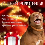 IMG_3723.jpeg