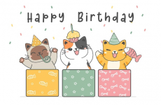 1698053561223.png