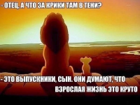 1701880134362.png 1701880134362.png