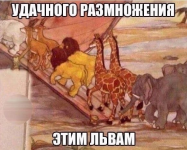 1701882330178.png
