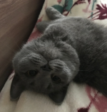 1701951297409.png