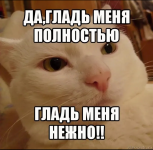1702060745315.png
