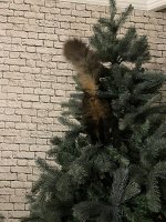 1703101329265.jpeg