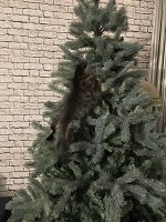 1703101467942.jpeg