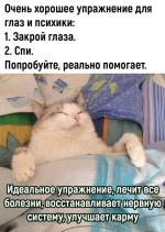 IMG_2929.png IMG_2929.png