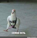 1706901173042.png