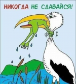 1708355456999.png 1708355456999.png