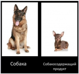 IMG_4157.png