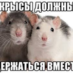 1710879208832.png 1710879208832.png
