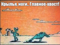 Безымянный.png