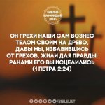 IMG_6826.jpeg