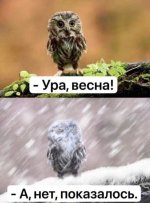 B0709F18-B318-42A7-B37D-BD19AF923011.jpeg