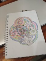 IMG_20240528_075530.jpg