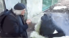 чел-говорит.png чел-говорит.png