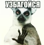 0cb3dd88599938082a59655a4f275e42.jpg