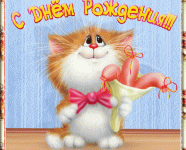 кот.gif