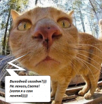 image (14) (1).png