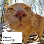 image (14) (1).png