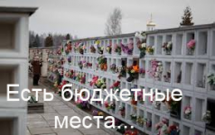 1619459155726.png