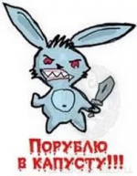 1619987268777.png